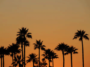 Sunset in Long Beach, CA